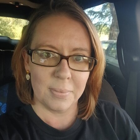 Looking For A Pet Sitter For 4 Cats, 4 Other Pets In Brookport