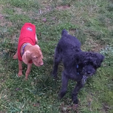 Overnight Care Needed For My Mother In Lincoln