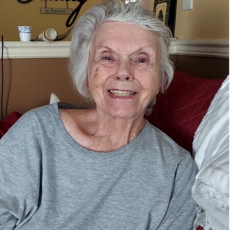 Seeking Part-time Senior Care Provider In Lake Villa